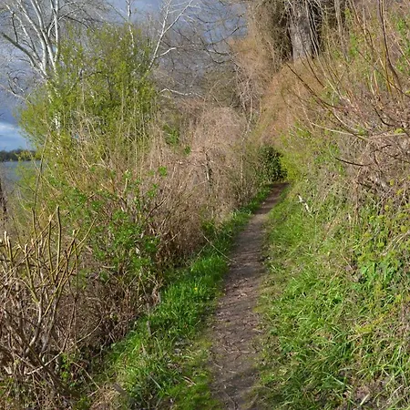 דירה Suenfeszek Vendeghaz *