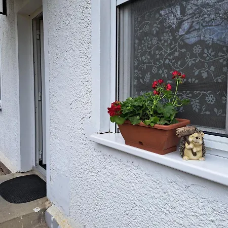 Suenfeszek Vendeghaz Göd