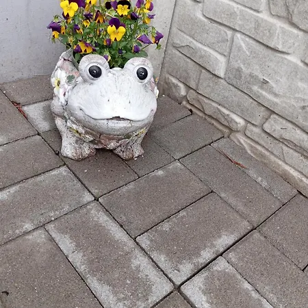 Sünfészek * Göd