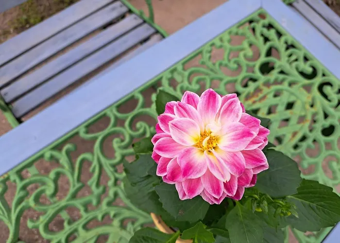 Apartment Suenfeszek Vendeghaz God