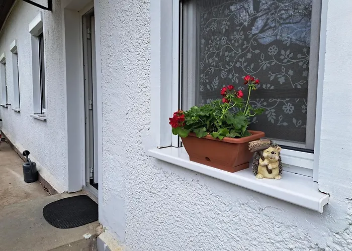 Suenfeszek Vendeghaz God