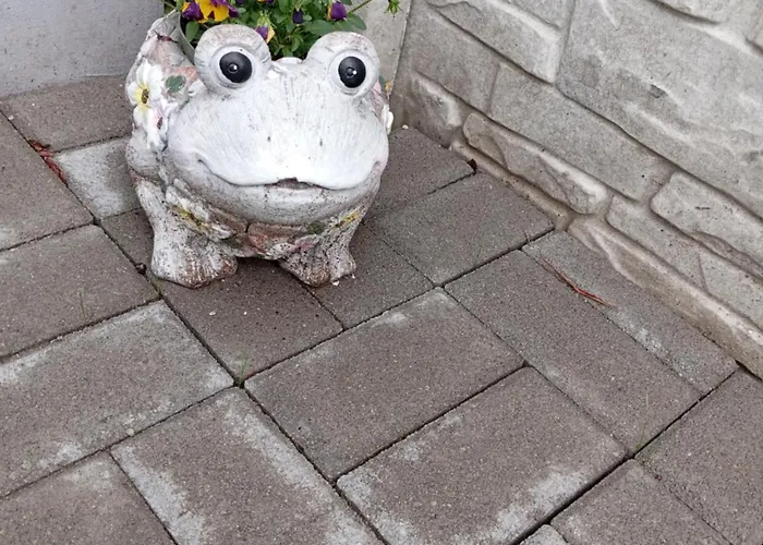 Suenfeszek Vendeghaz * Göd